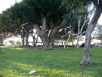 Enlarge photo 22