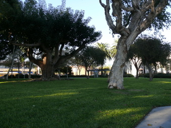 Enlarge photo 26