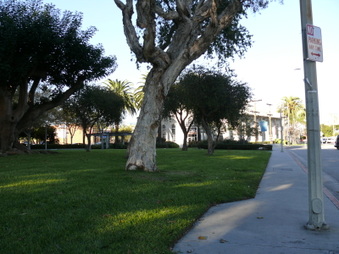 Enlarge photo 27