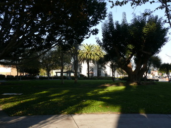 Enlarge photo 30