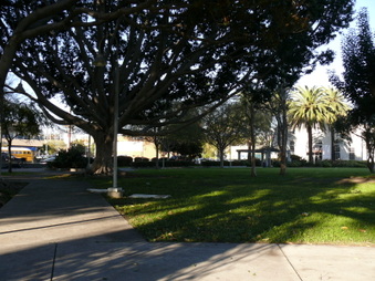 Enlarge photo 31