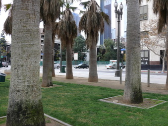 Enlarge photo 16