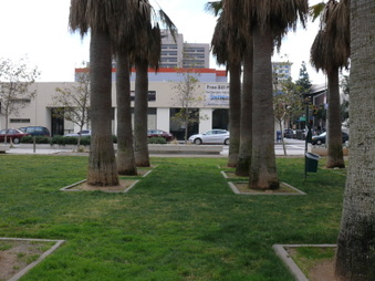 Enlarge photo 17