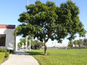 Enlarge photo 10
