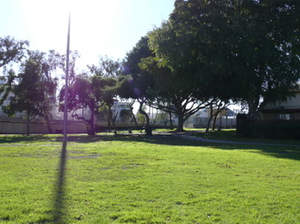 Enlarge photo 12
