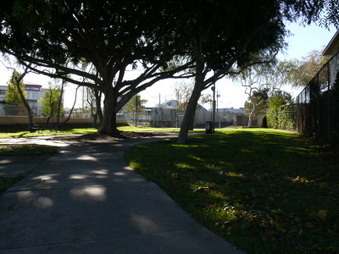 Enlarge photo 16