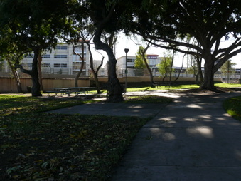 Enlarge photo 15