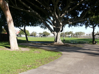 Enlarge photo 21