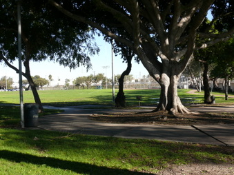 Enlarge photo 22