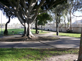 Enlarge photo 23