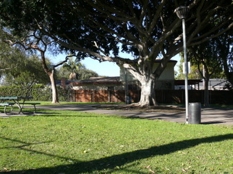 Enlarge photo 28
