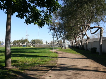 Enlarge photo 30