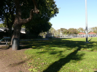 Enlarge photo 29