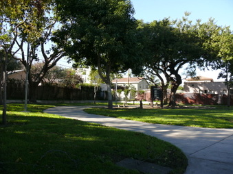Enlarge photo 33
