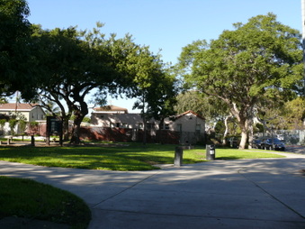 Enlarge photo 35
