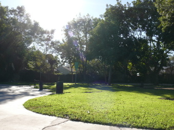Enlarge photo 37
