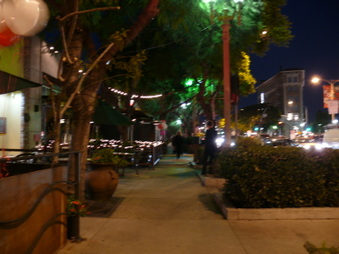 Enlarge photo 15