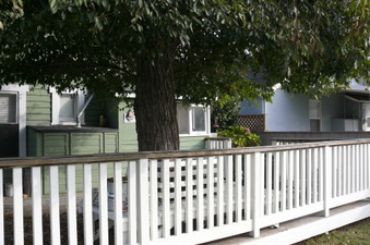 Enlarge photo 15