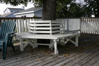 Enlarge photo 21