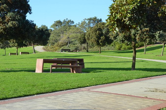 Enlarge photo 10
