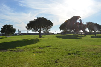 Enlarge photo 38