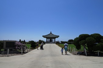 Enlarge photo 65