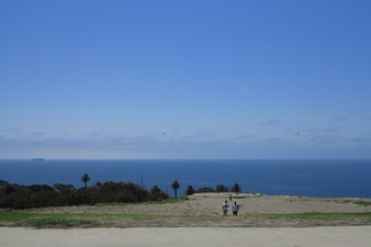 Enlarge photo 87