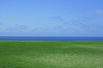 Enlarge photo 93