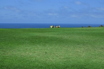 Enlarge photo 94
