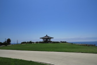 Enlarge photo 95