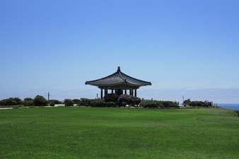 Enlarge photo 96