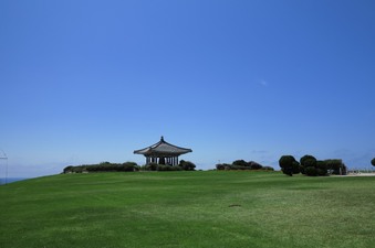 Enlarge photo 98