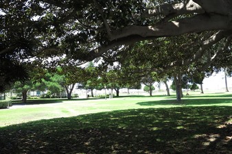 Enlarge photo 103