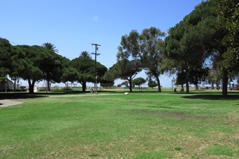 Enlarge photo 105