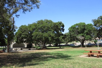 Enlarge photo 125