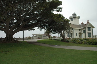 Enlarge photo 131