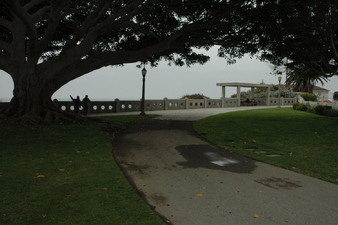 Enlarge photo 132