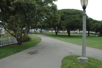 Enlarge photo 133