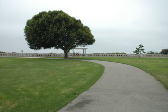 Enlarge photo 134