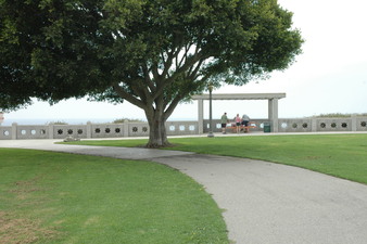 Enlarge photo 135