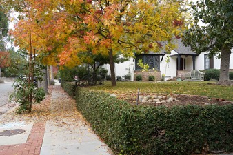 Enlarge photo 5