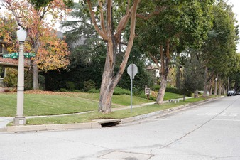 Enlarge photo 31