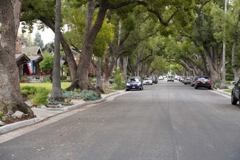 Enlarge photo 21
