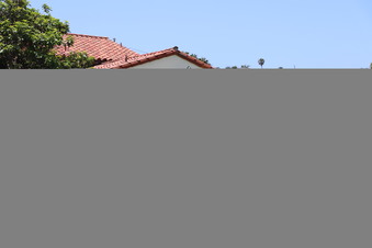 Enlarge photo 46
