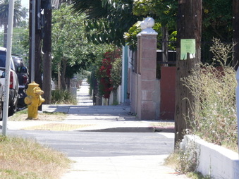 Enlarge photo 5