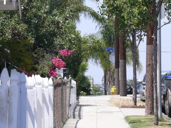 Enlarge photo 17