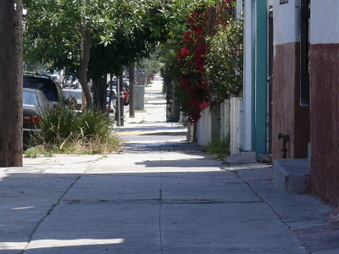 Enlarge photo 27
