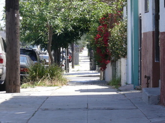 Enlarge photo 28