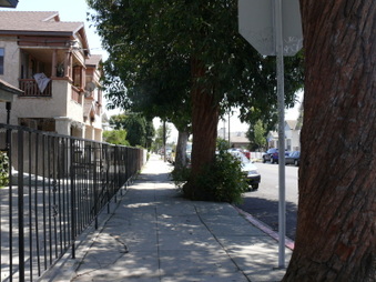 Enlarge photo 45