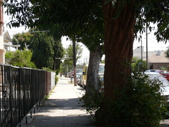 Enlarge photo 46